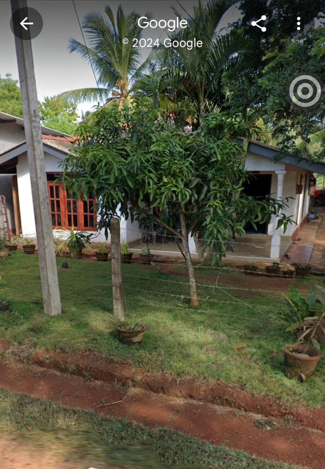 Pethum Holiday Home アヌラーダプラ エクステリア 写真